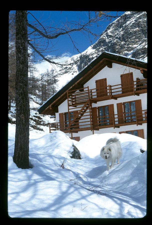 La Trinite Monboso Hotel Gressoney-la-Trinité Exteriör bild