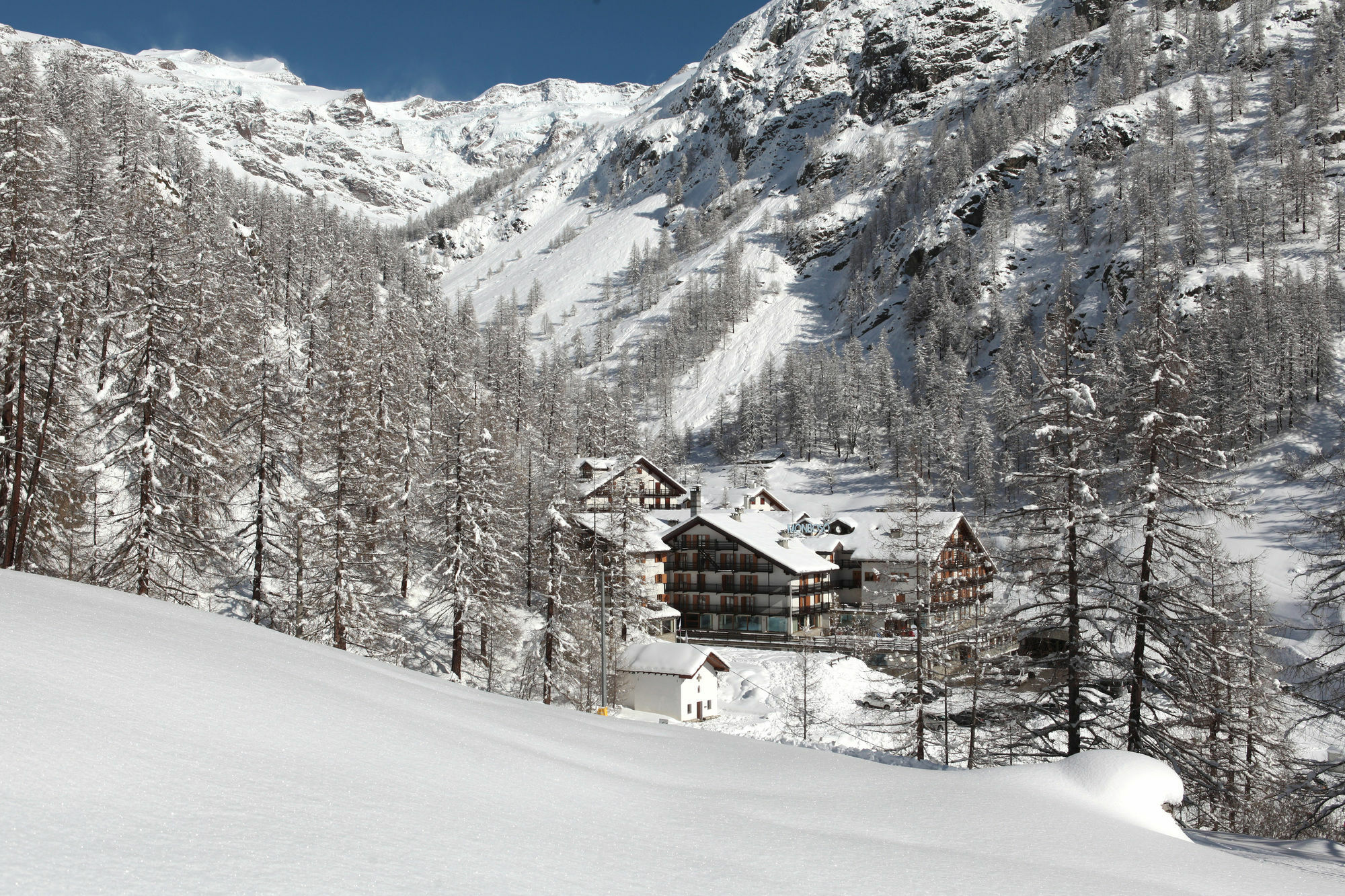 La Trinite Monboso Hotel Gressoney-la-Trinité Exteriör bild